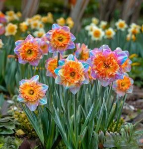 Нарцисс Айвери Дон купить по цене от 3000р. в интернет-магазине «Посадика» с доставкой почтой в в Домодедовое и по всей России – [изображение №1].