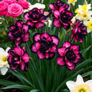 Нарцисс Золотая Корона купить по цене от 2000р. в интернет-магазине «Посадика» с доставкой почтой в в Домодедовое и по всей России – [изображение №1].