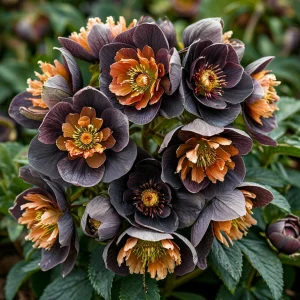 Морозник Блум Айс купить по цене от 499р. в интернет-магазине «Посадика» с доставкой почтой в в Домодедовое и по всей России – [изображение №1].